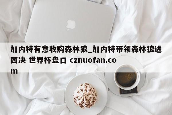 加内特有意收购森林狼_加内特带领森林狼进西决 世界杯盘口 cznuofan.com